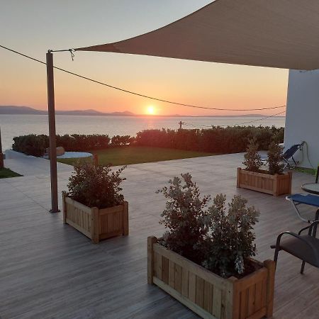 Dionysus House And Ariadne Apartment Stelida  Exterior foto